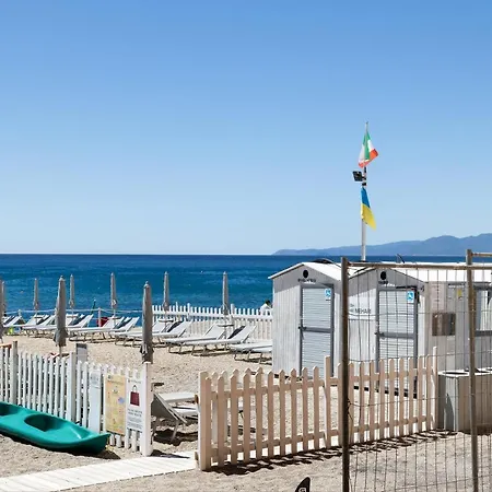 14 Mehari * 瓦里格提